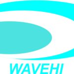 Women Against Violence and Expediency Handling Initiative